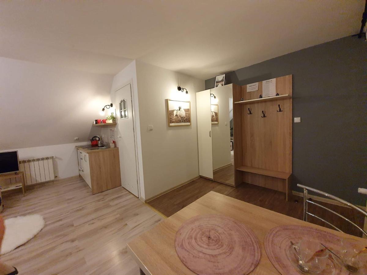 Apartament Jaskier Zakopane Ngoại thất bức ảnh